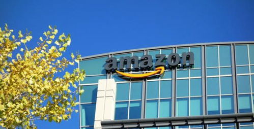 亞馬遜轉化率低怎么辦？江西中小企業網站建設與提升轉化率的實用技巧